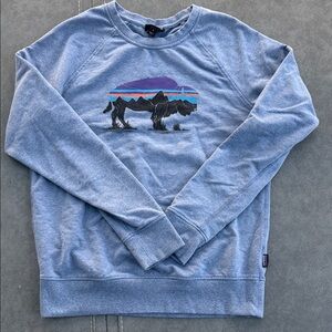 Patagonia Blue Graphic Sweatshirt